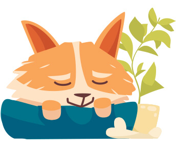 Low Carbon Footprint